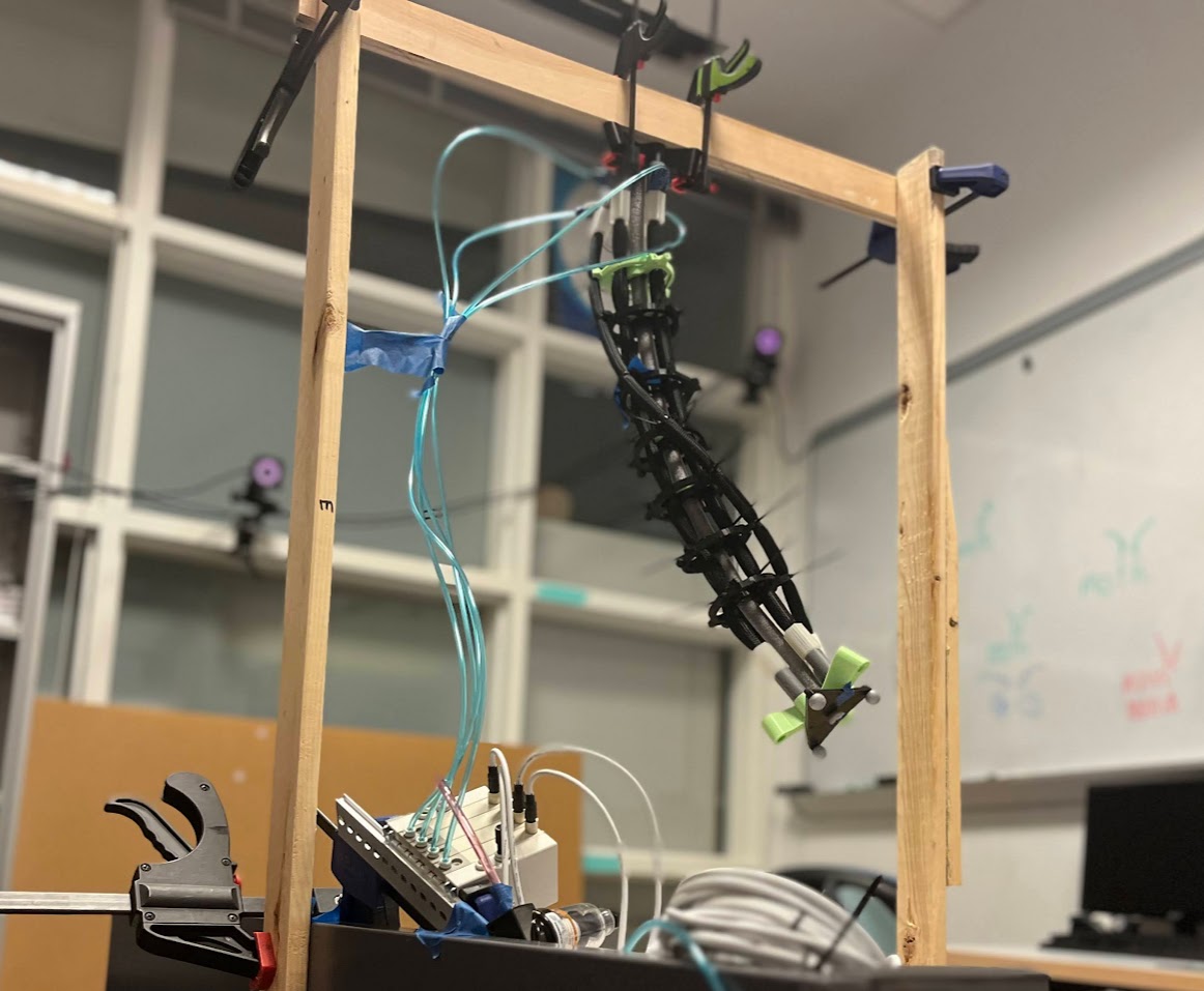 Twist lab robot in action